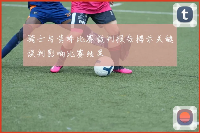 骑士与黄蜂比赛裁判报告揭示关键误判影响比赛结果