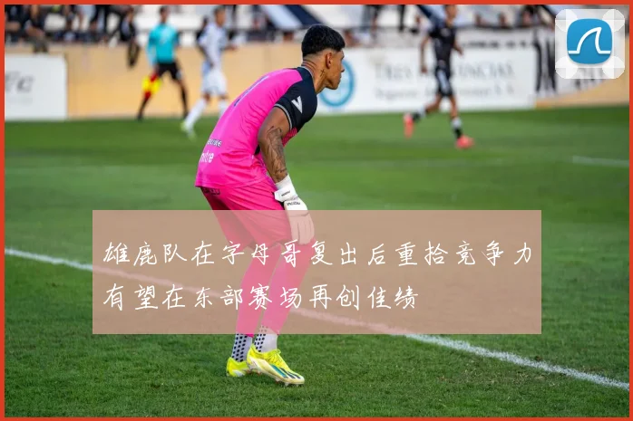 雄鹿队在字母哥复出后重拾竞争力有望在东部赛场再创佳绩